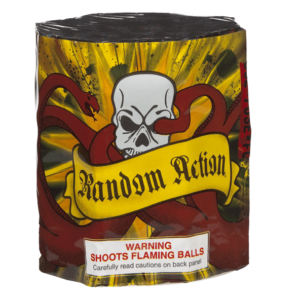 Random Action