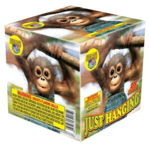 Just Hanging - 200g Repeater