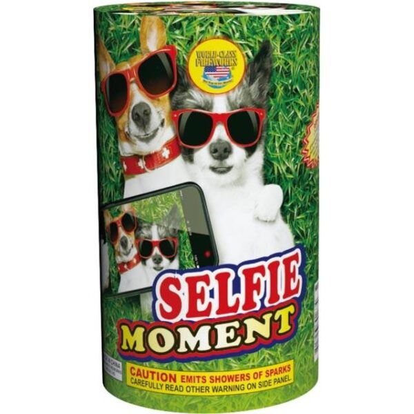 Selfie Moment - Fireworks Fountain
